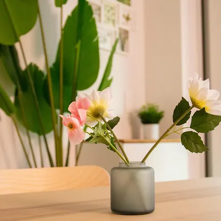 Le Petit Cocon Apartment Liege